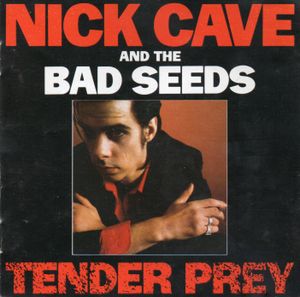 nick-cave-and-the-bad-seeds_5th_album