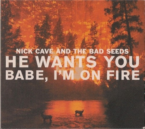 Pochette de He Wants You / Babe, I’m on Fire par Nick Cave and the Bad Seeds (single)