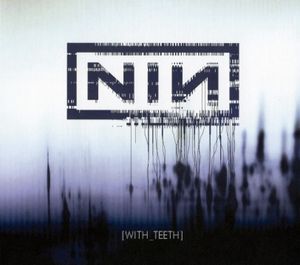 nine-inch-nails_4th_album