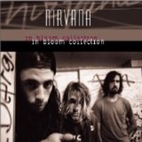 In Bloom Collection by Nirvana album cover art