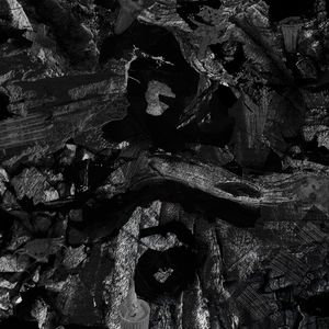 no-party-for-cao-dong_2nd_album
