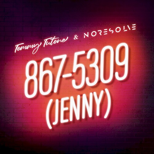 Pochette de 867-5309 (Jenny) par No Resolve (single)