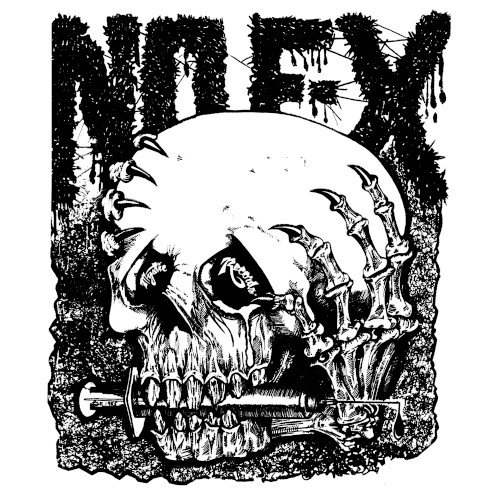 The Album by NOFX album cover art