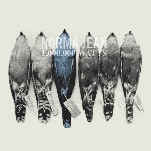 Cover-Artwork für die Single I Can’t Make You Love Me von Norma Jean