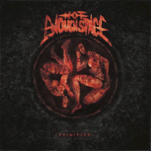Primitive by Not Enough Space single cover art