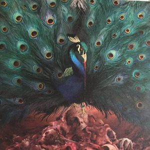 opeth_12th_album