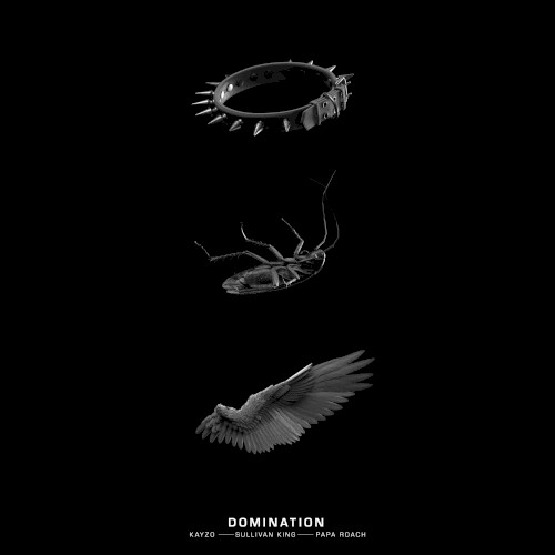 Pochette de DOMINATION par Papa Roach (single)