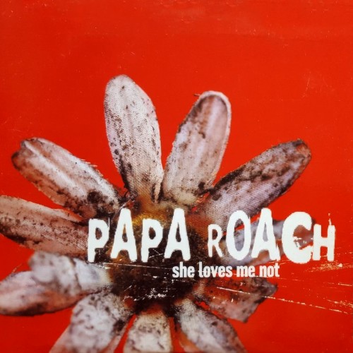 Pochette de She Loves Me Not par Papa Roach (single)