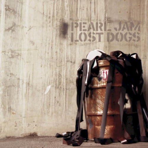 Selections From Lost Dogs by Pearl Jam album cover art