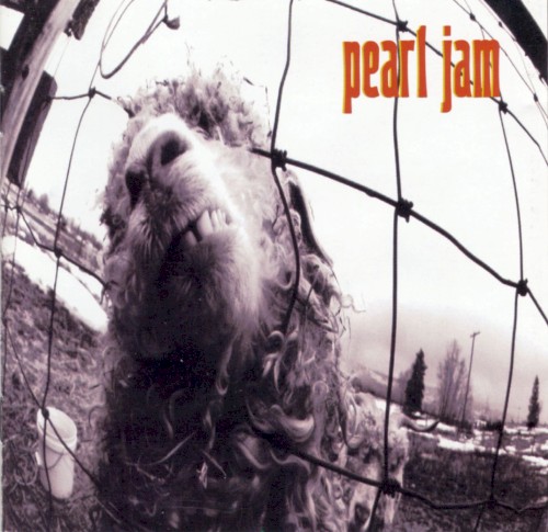 Pochette de Vs. par Pearl Jam (album)
