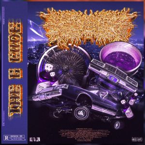 peelingflesh_2nd_album