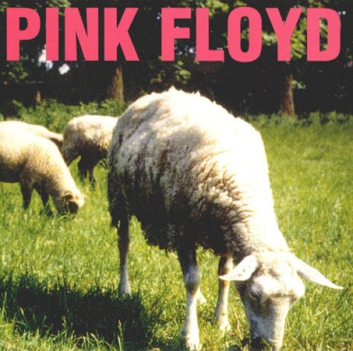 1975-04-26: Cruel but Fair: LA Sports Arena, Los Angeles, CA, USA by Pink Floyd album cover art