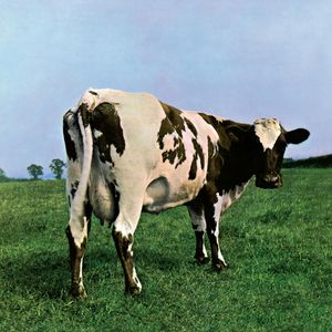 pink-floyd_4th_album