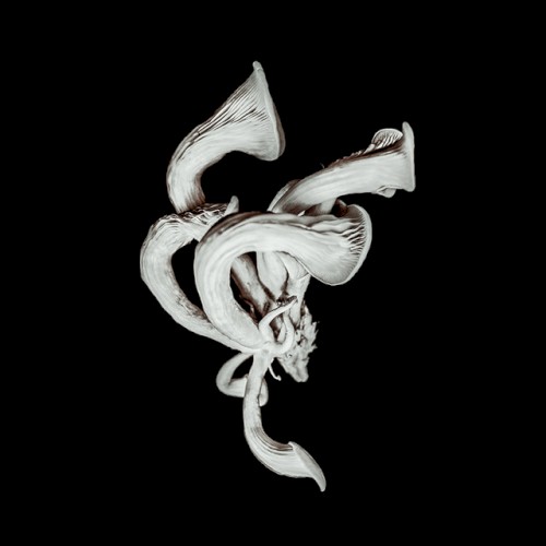 Portada del EP Beneath the Eyrie Demos, Pt. 2 de Pixies