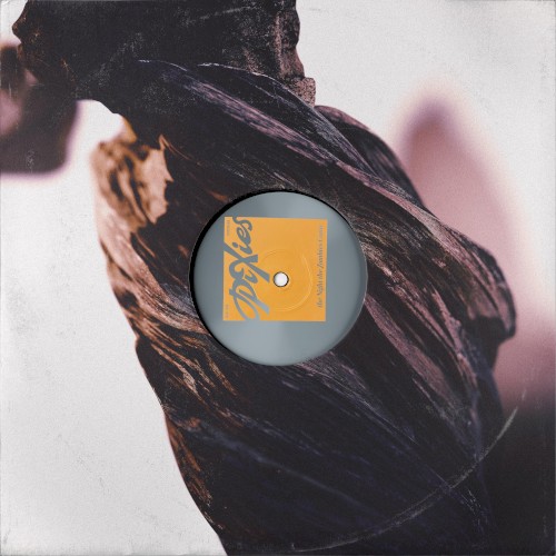 Oyster Beds by Pixies single cover art