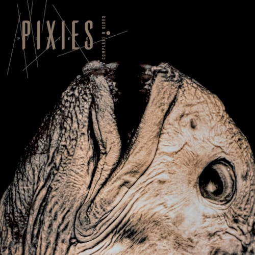 Pixies 的 Planet of Sound (live) 单曲封面
