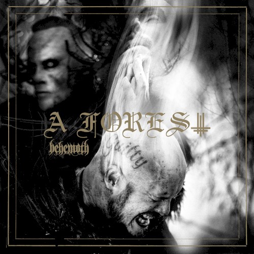 Pochette de A Forest par Behemoth (single)