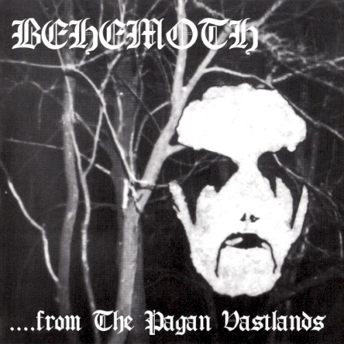 Behemoth 的 …From the Pagan Vastlands EP封面