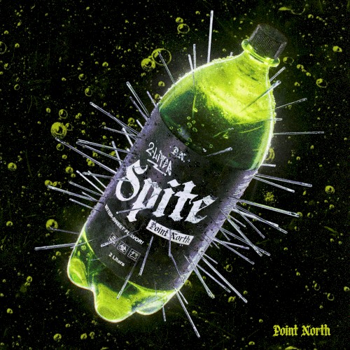 Pochette de 2 LITER SPITE par Point North (single)