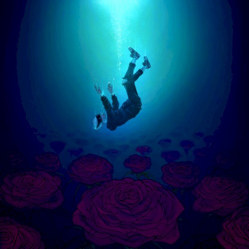 Into The Dark (Acoustic) by Point North single cover art