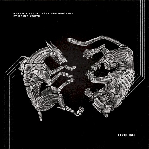 Pochette de Lifeline par Point North (single)