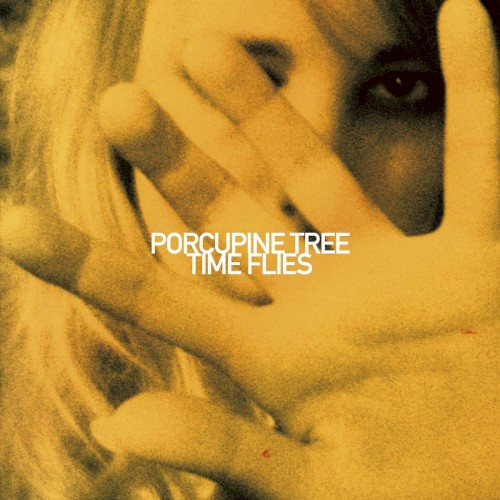 Cover-Artwork für die Single Time Flies von Porcupine Tree