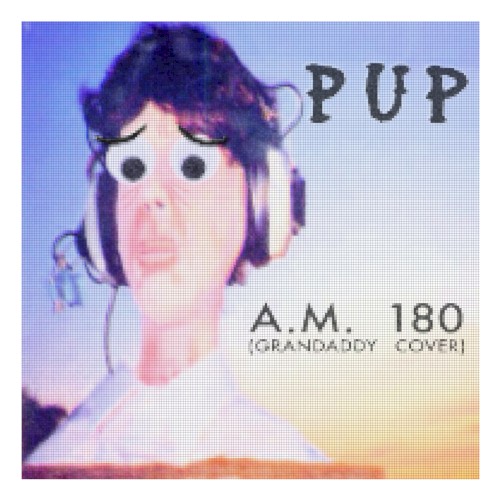 pup_am-180_single