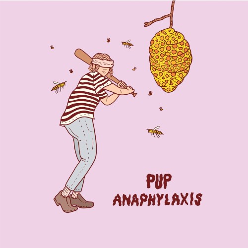 pup_anaphylaxis_single
