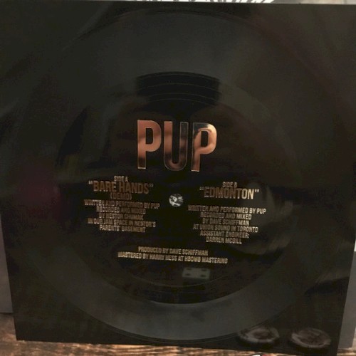 pup_bare-hands_single