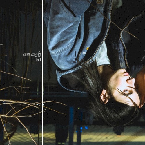 Pochette de bled par sace6 (single)