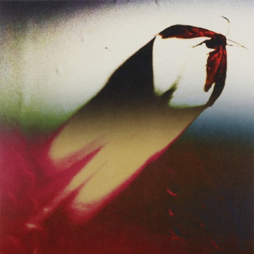 Pochette de Are We All Angels par Scowl (album)