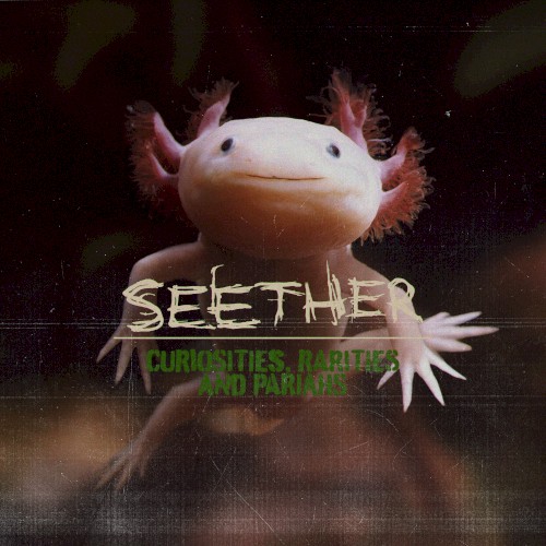 Curiosities, Rarities And Pariahs by Seether album cover art