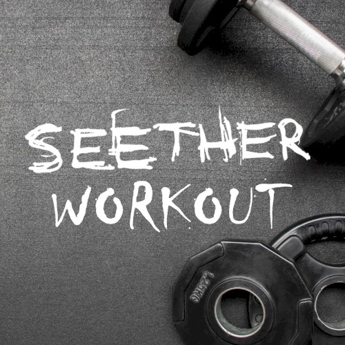 Workout by Seether album cover art