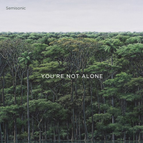 You're Not Alone by Semisonic EP cover art