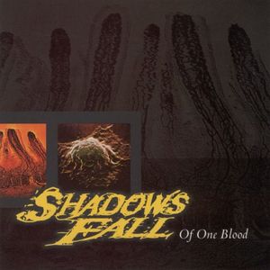 shadows-fall_2nd_album