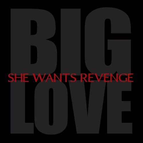 she-wants-revenge_big-love_single