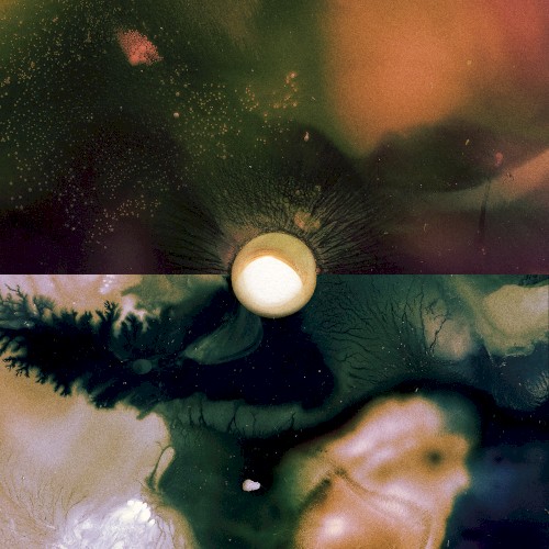 Pochette de Panopticon par Silent Planet (single)