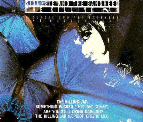 Pochette de The Killing Jar par Siouxsie and the Banshees (single)