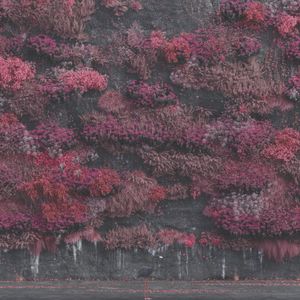 sleep-token_4th_album