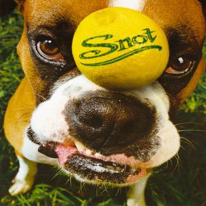 snot_1st_album