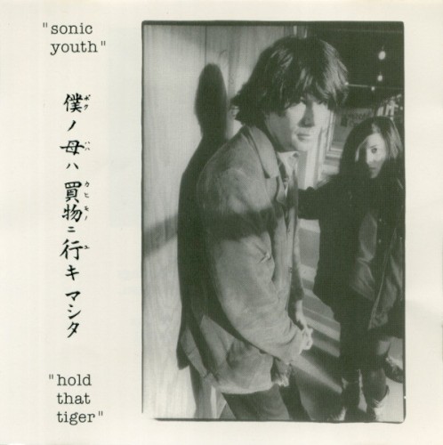 Pochette de Hold That Tiger par Sonic Youth (album)