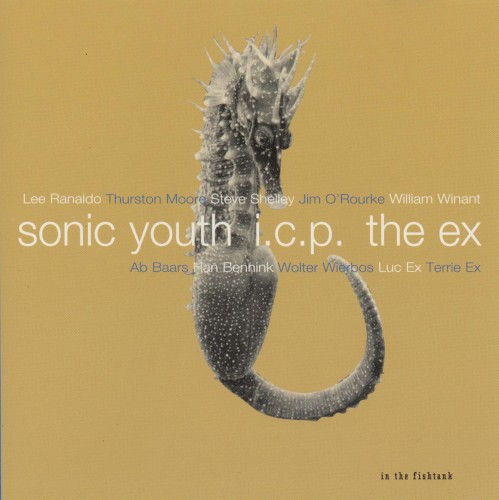 Cover-Artwork für die EP In the Fishtank von Sonic Youth