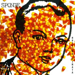 sponge_1st_album