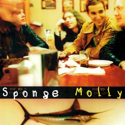 Portada del sencillo Molly (16 Candles Down the Drain) de Sponge