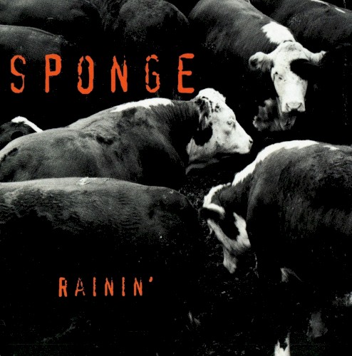 Cover-Artwork für die Single Rainin' von Sponge