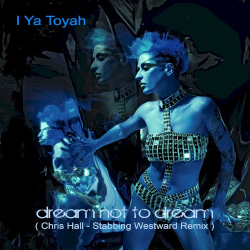 Stabbing Westward 的 Dream not to Dream (Chris Hall - Stabbing Westward Remix) 单曲封面