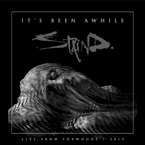 It’s Been Awhile (live) by Staind single cover art