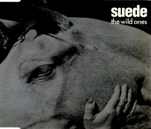 Pochette de The Wild Ones par Suede (single)