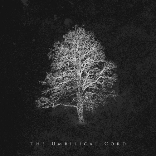 Pochette de The Umbilical Cord par Orbit Culture (single)