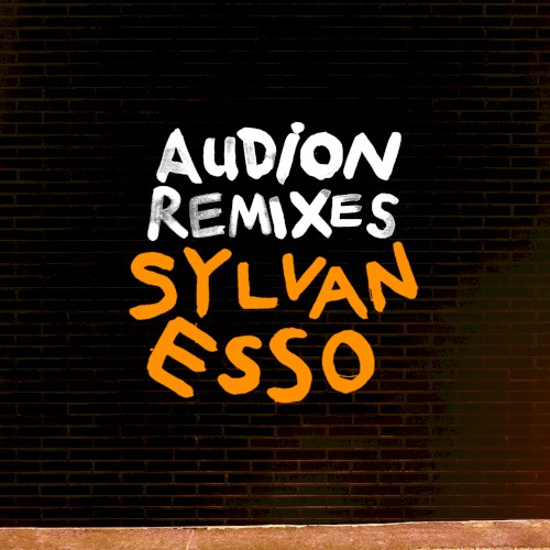 Sylvan Esso 的 Die Young (Audion remix) 单曲封面